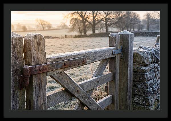 Old Wooden Gate In Frosty Morning