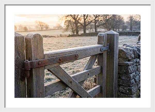 Old Wooden Gate In Frosty Morning