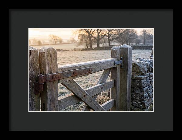 Old Wooden Gate In Frosty Morning