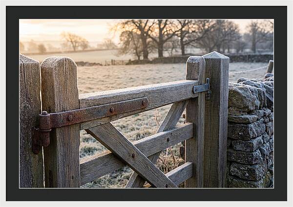 Old Wooden Gate In Frosty Morning