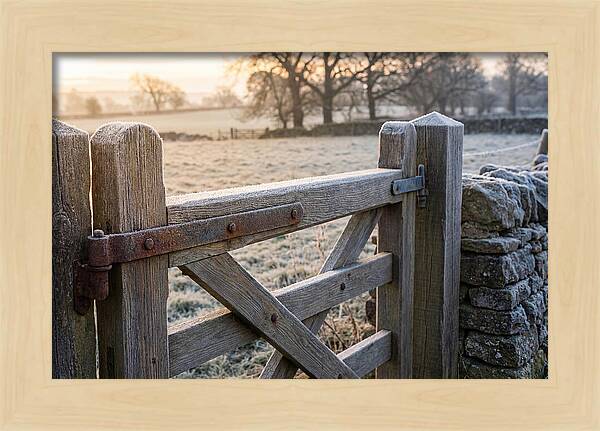 Old Wooden Gate In Frosty Morning