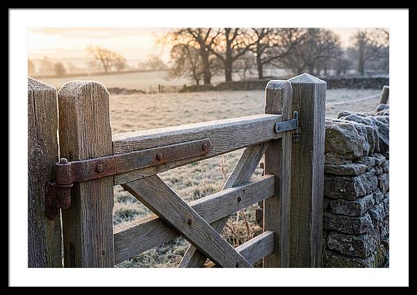 Old Wooden Gate In Frosty Morning