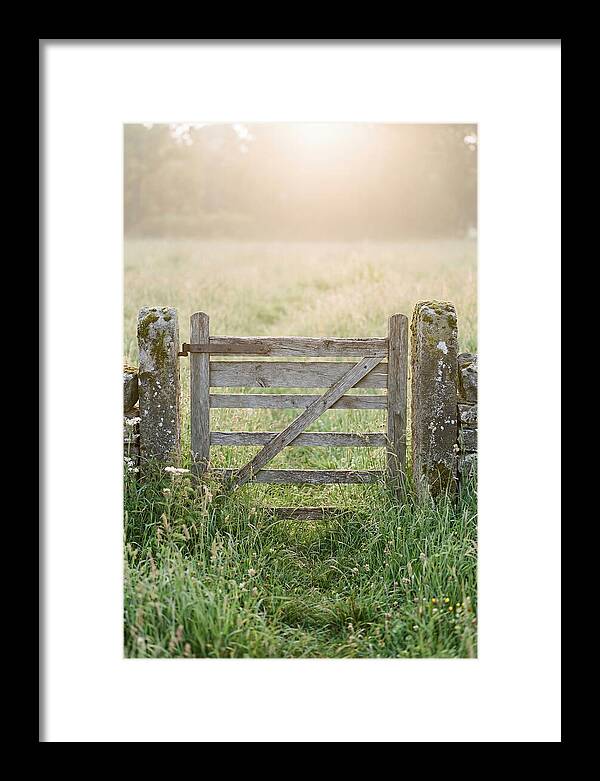 Old Wooden Gate In Nature
