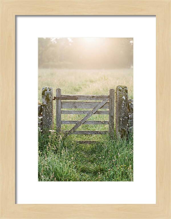 Old Wooden Gate In Nature