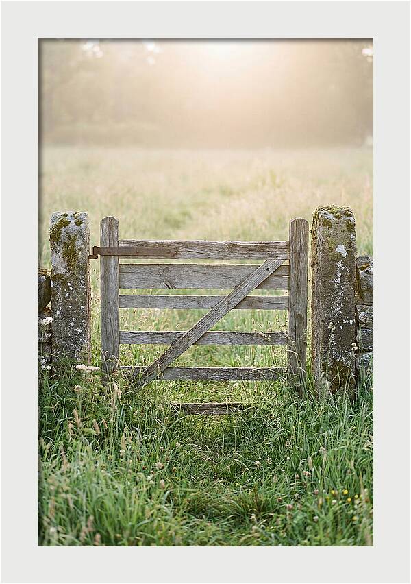Old Wooden Gate In Nature