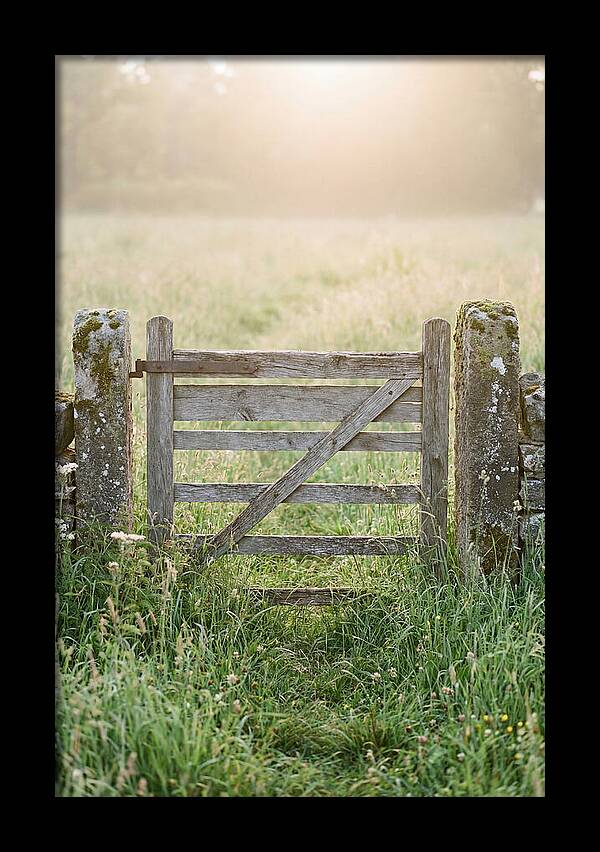 Old Wooden Gate In Nature