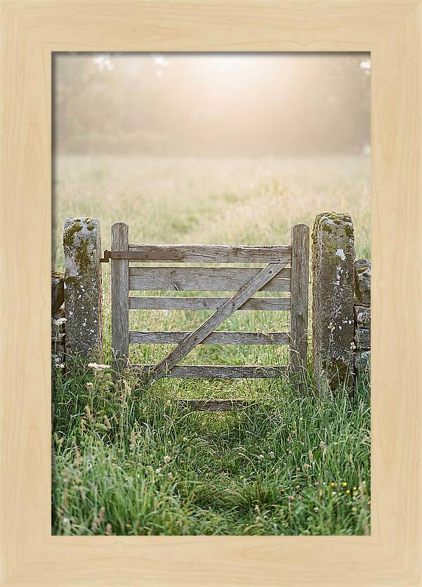 Old Wooden Gate In Nature
