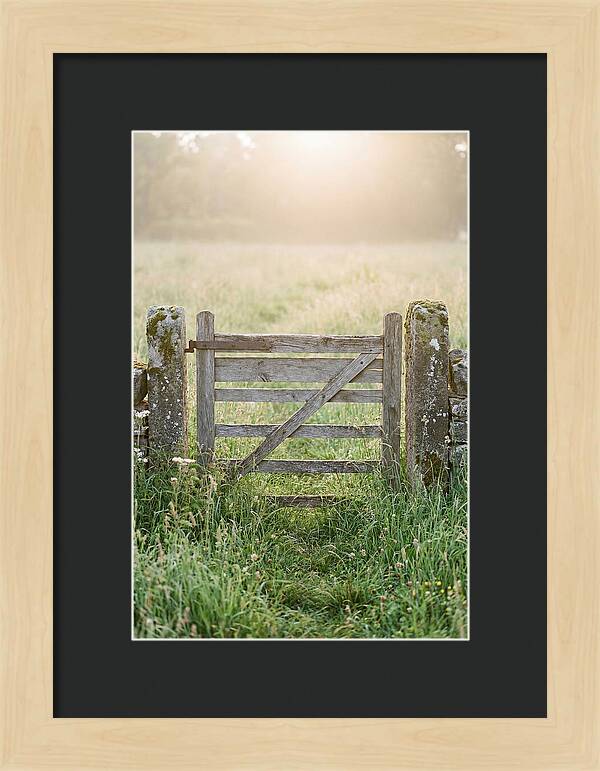 Old Wooden Gate In Nature