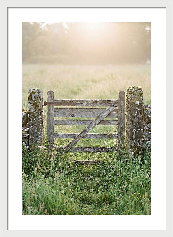 Old Wooden Gate In Nature