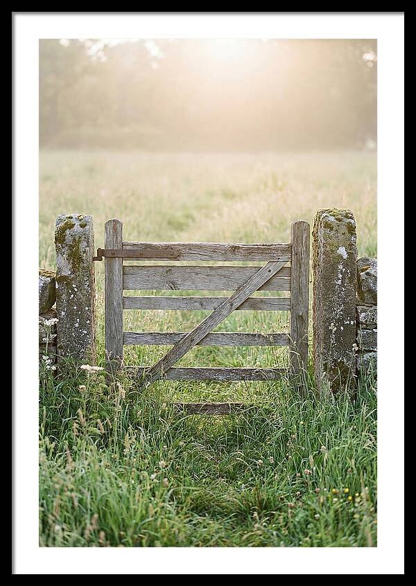 Old Wooden Gate In Nature