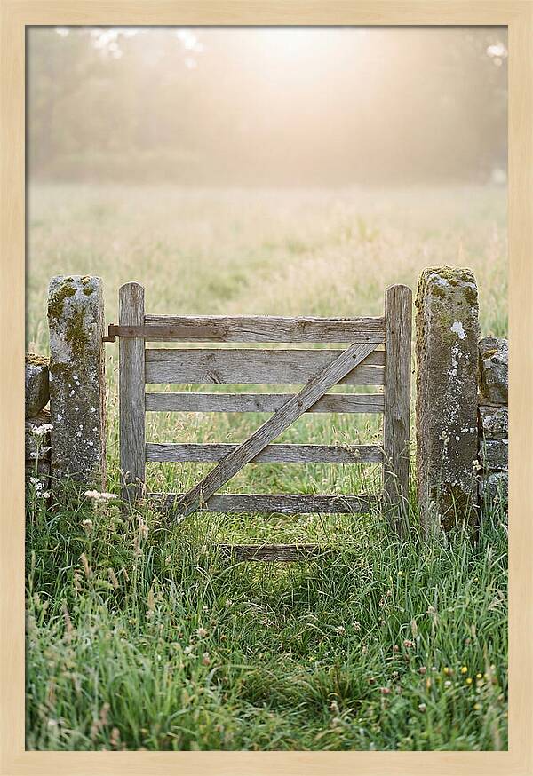 Old Wooden Gate In Nature