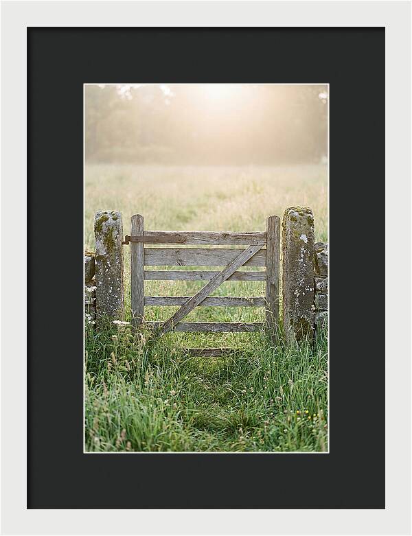 Old Wooden Gate In Nature