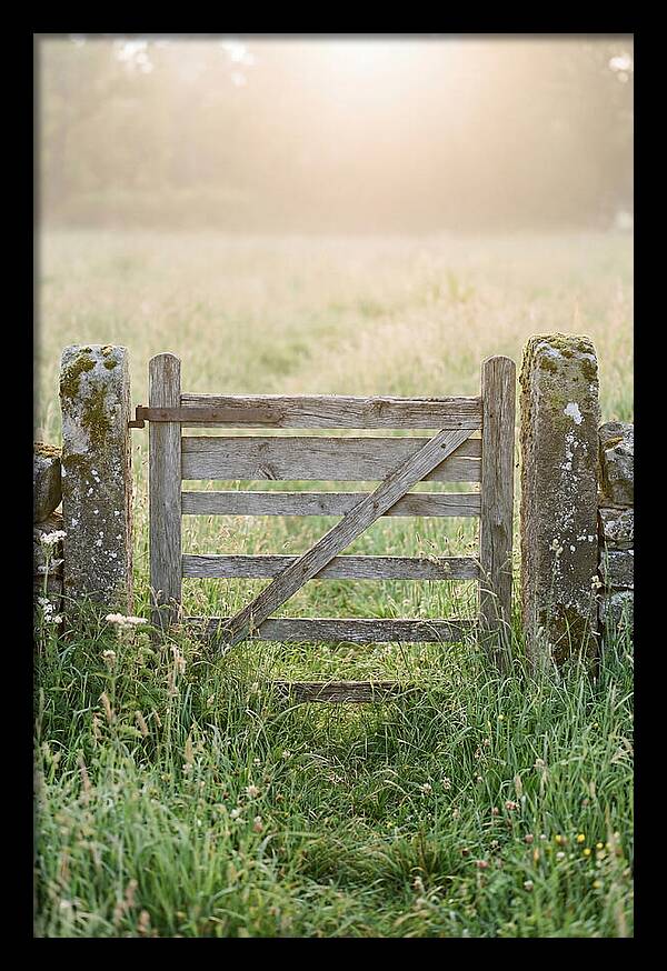Old Wooden Gate In Nature