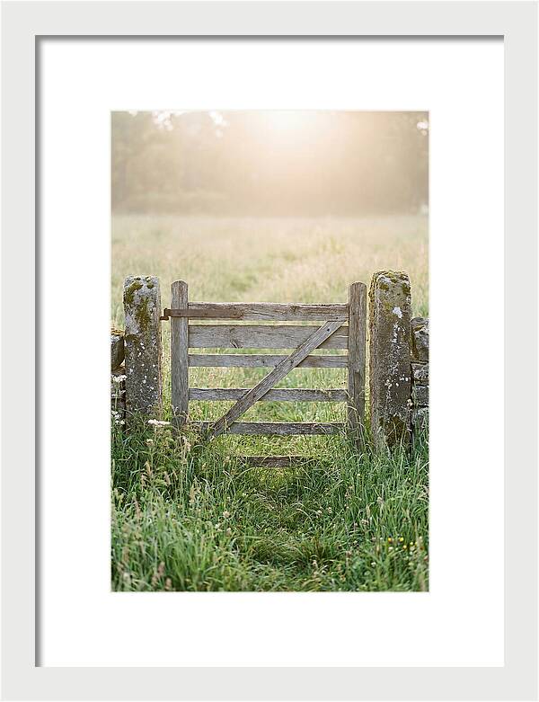 Old Wooden Gate In Nature