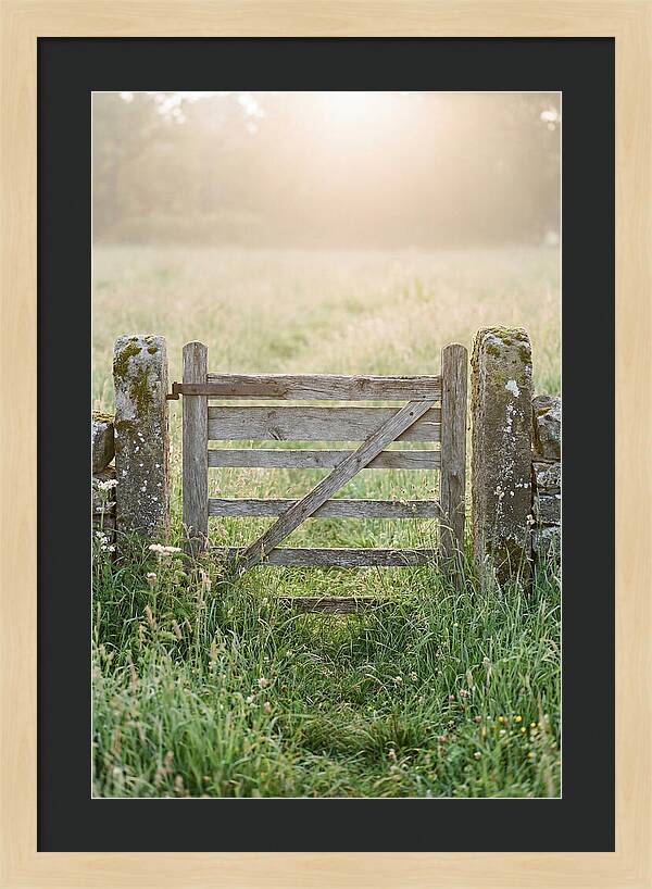Old Wooden Gate In Nature