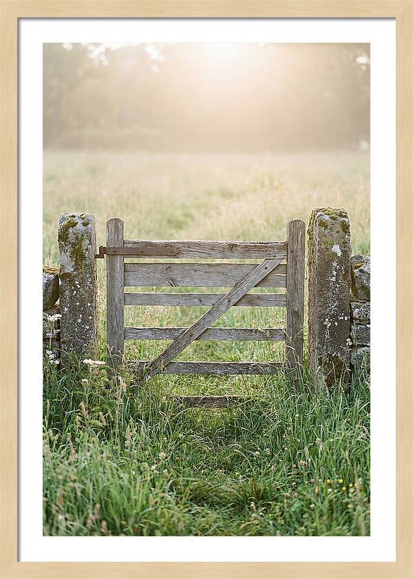 Old Wooden Gate In Nature