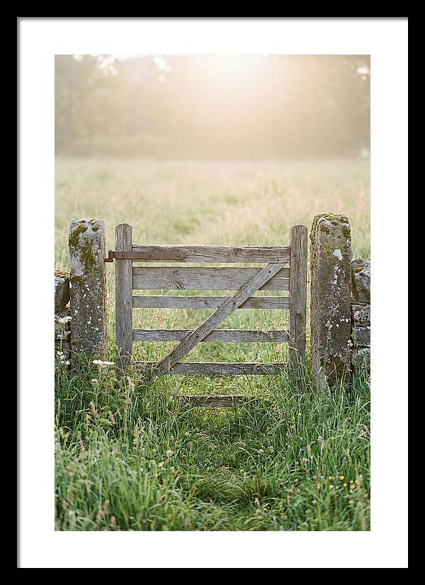 Old Wooden Gate In Nature