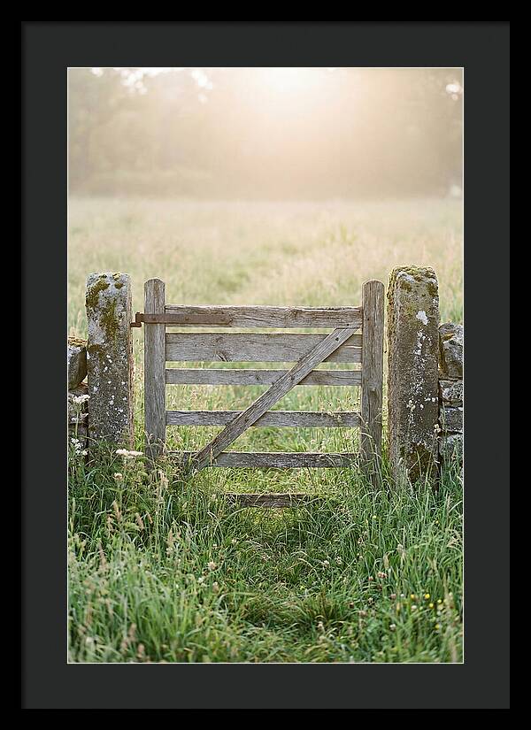 Old Wooden Gate In Nature