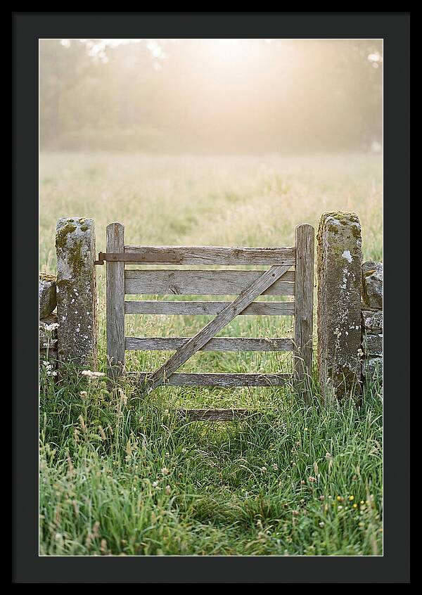 Old Wooden Gate In Nature