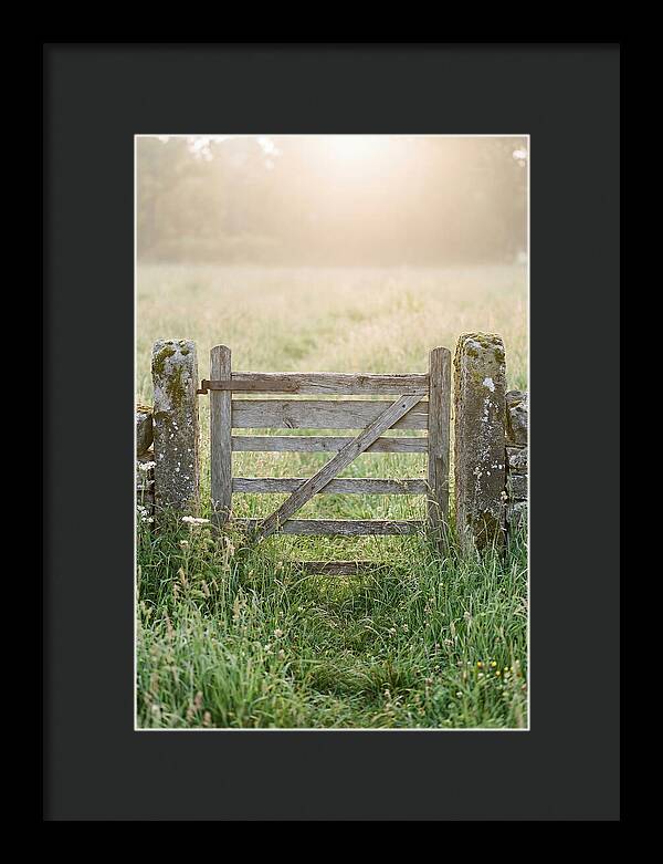 Old Wooden Gate In Nature