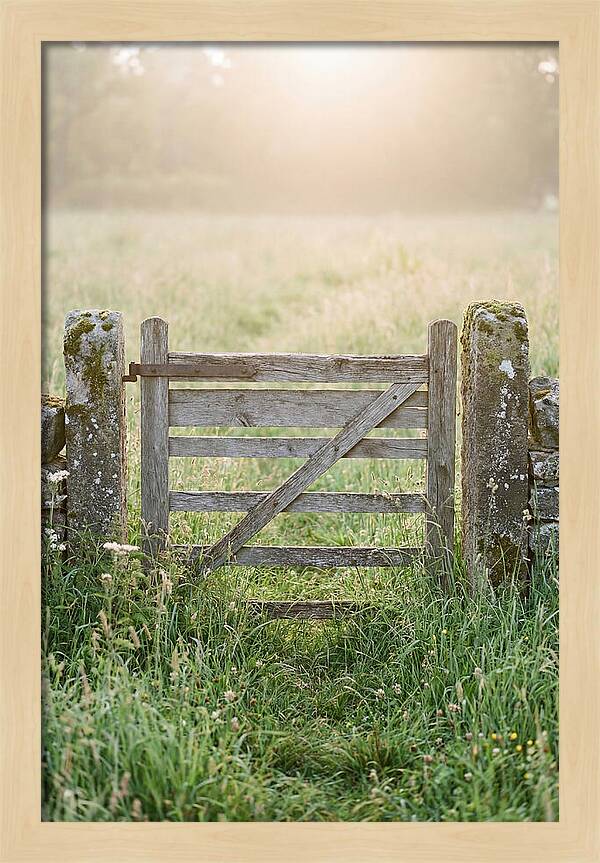 Old Wooden Gate In Nature