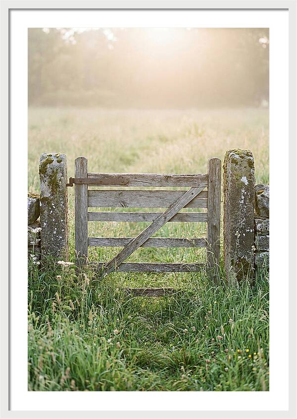 Old Wooden Gate In Nature