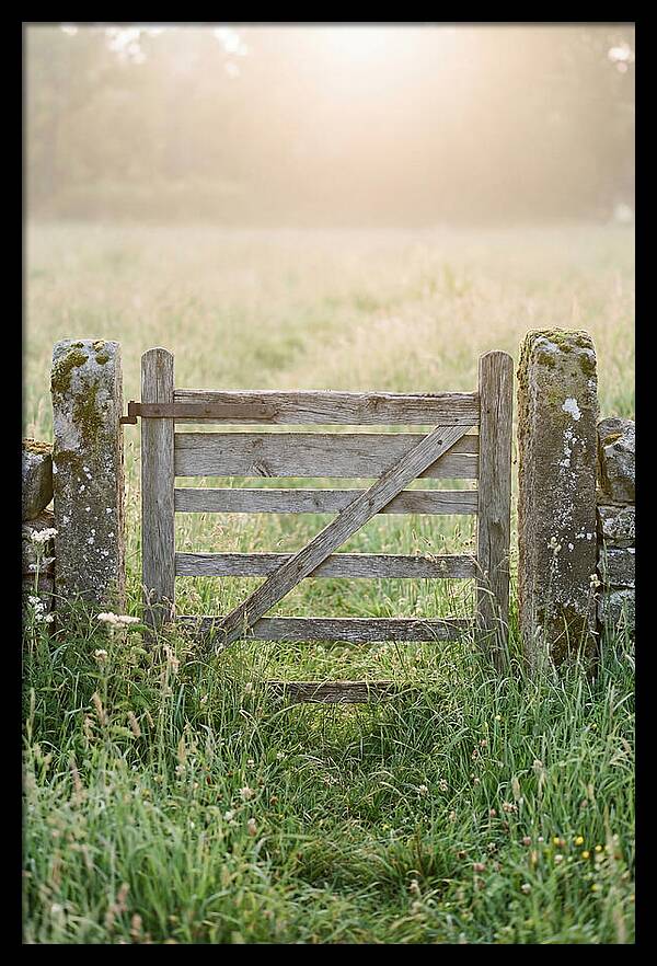 Old Wooden Gate In Nature