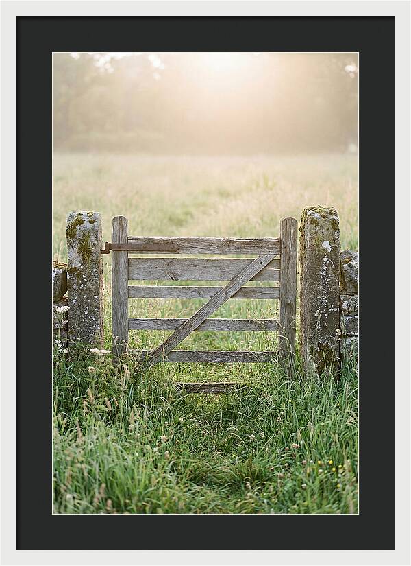 Old Wooden Gate In Nature