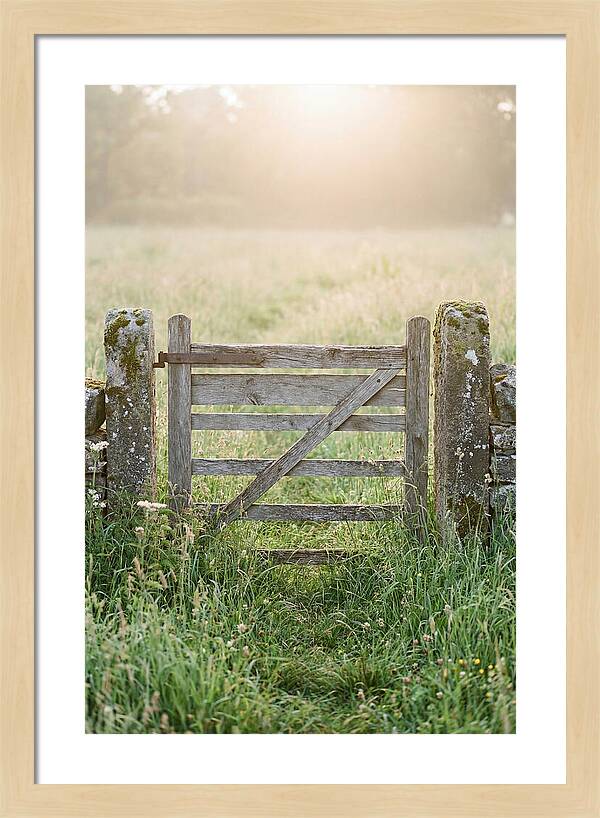 Old Wooden Gate In Nature
