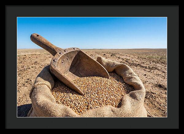 Old Wooden Grain Scoop