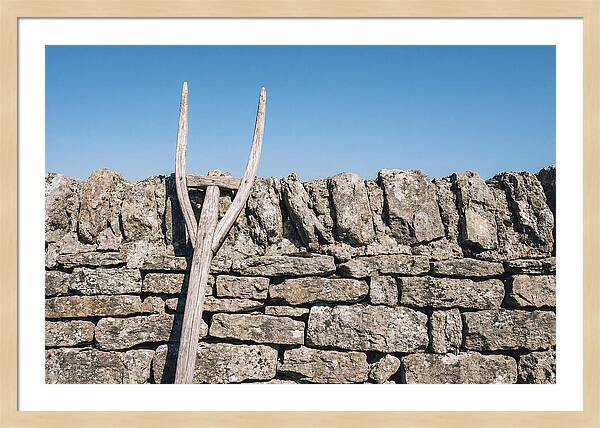 Old Wooden Hay Fork Against Stone Wall