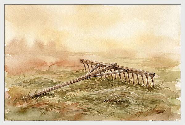 Old Wooden Hay Rake In Meadow