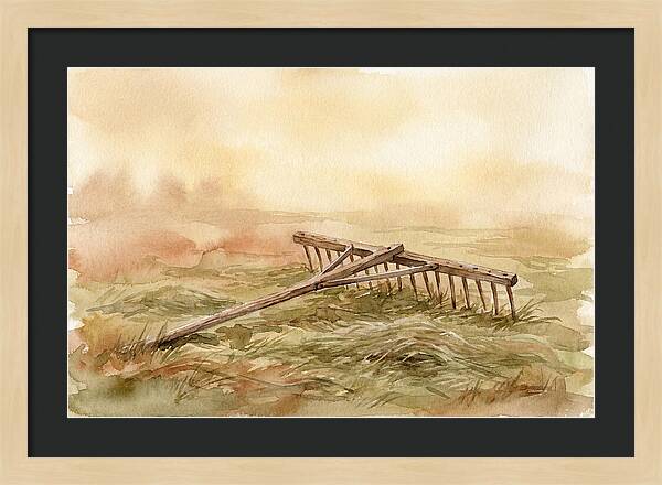 Old Wooden Hay Rake In Meadow
