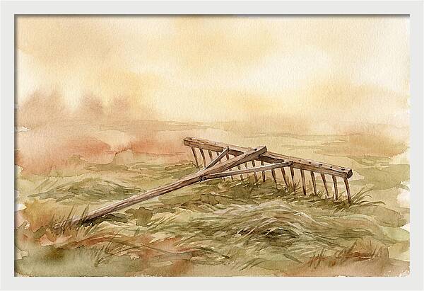 Old Wooden Hay Rake In Meadow