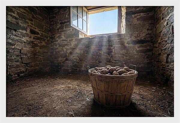 Old Wooden Potato Basket