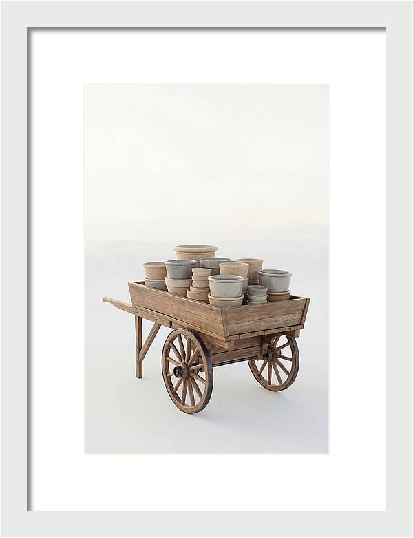 Old Wooden Pushcart With Flower Pots