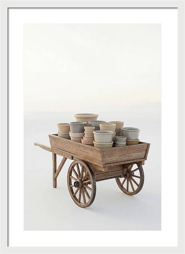 Old Wooden Pushcart With Flower Pots