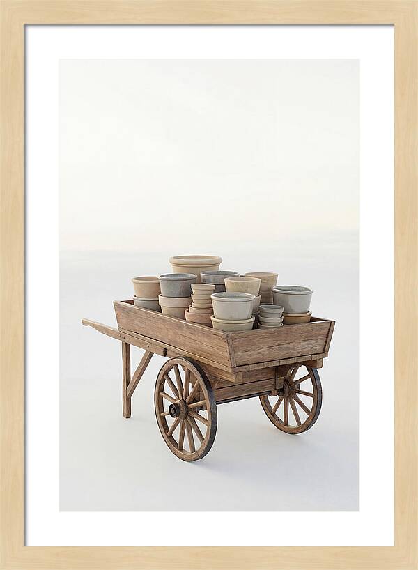 Old Wooden Pushcart With Flower Pots