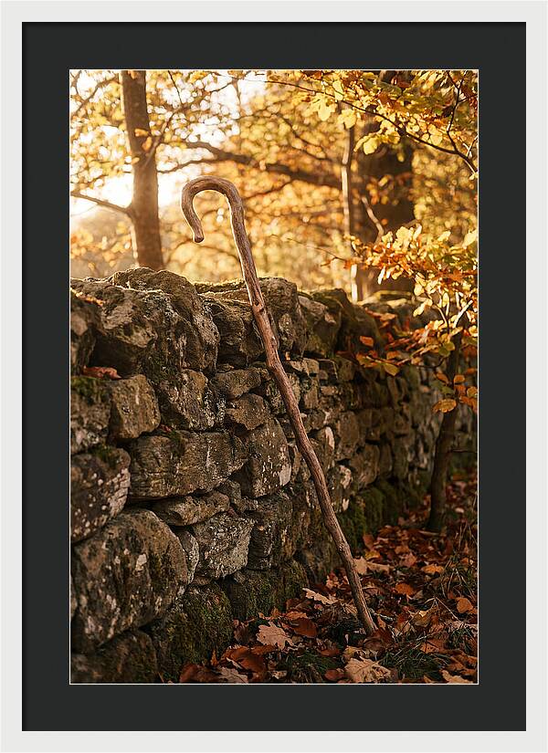 Old Wooden Shepherds Crook