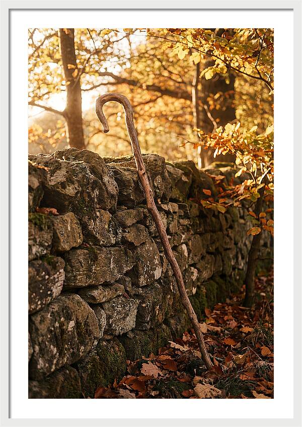 Old Wooden Shepherds Crook