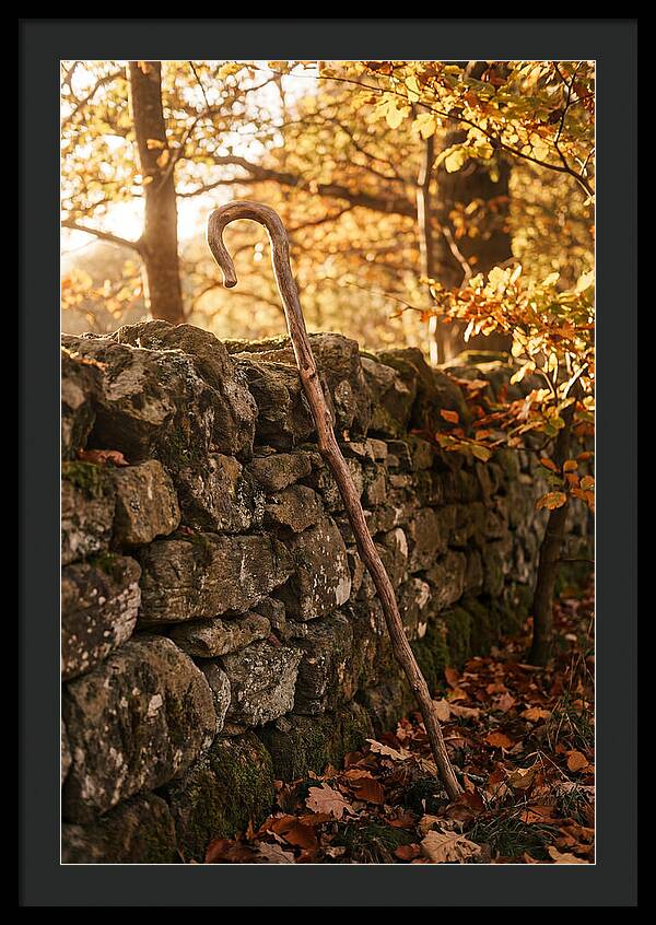Old Wooden Shepherds Crook