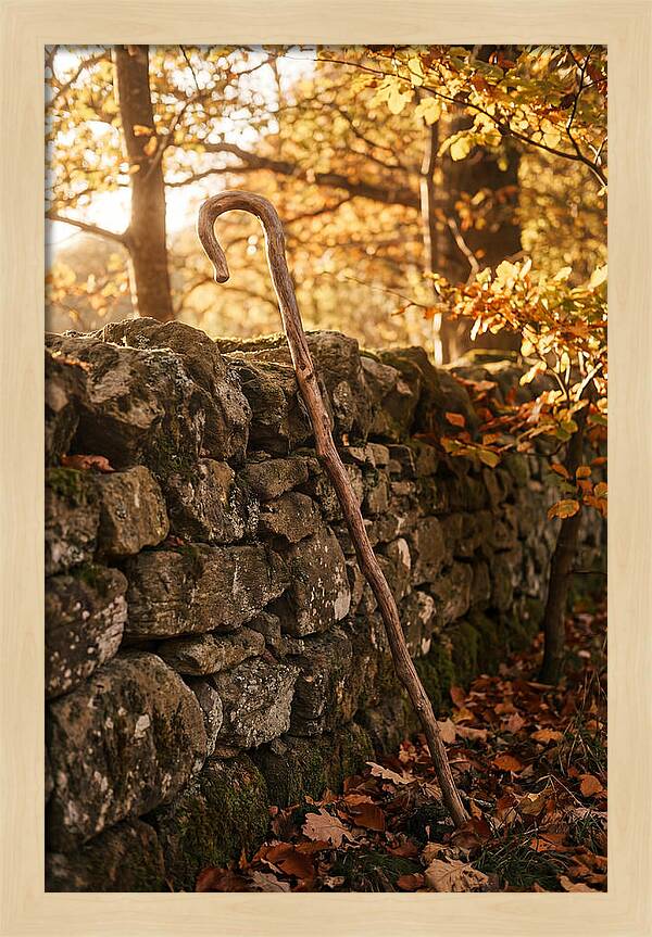 Old Wooden Shepherds Crook
