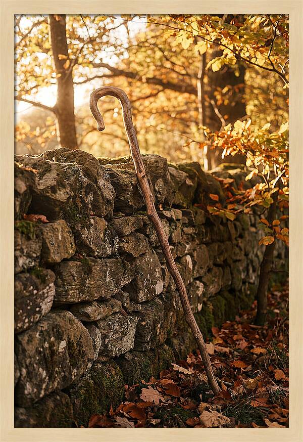Old Wooden Shepherds Crook