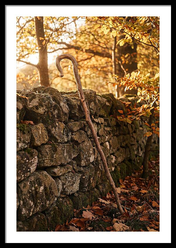 Old Wooden Shepherds Crook