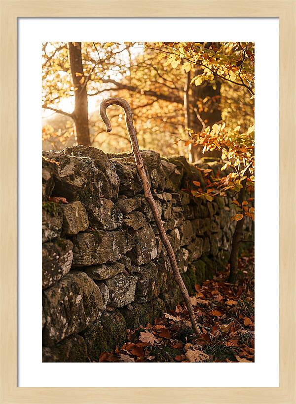 Old Wooden Shepherds Crook