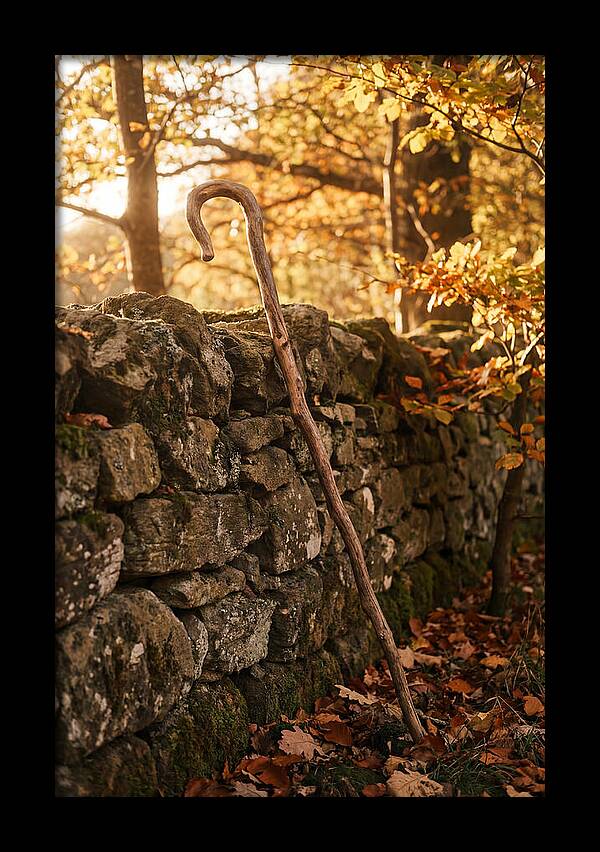 Old Wooden Shepherds Crook