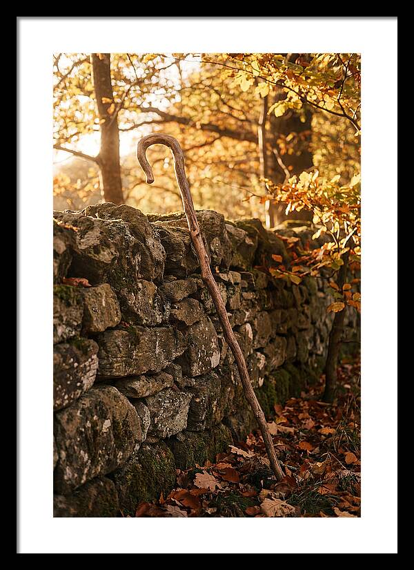 Old Wooden Shepherds Crook