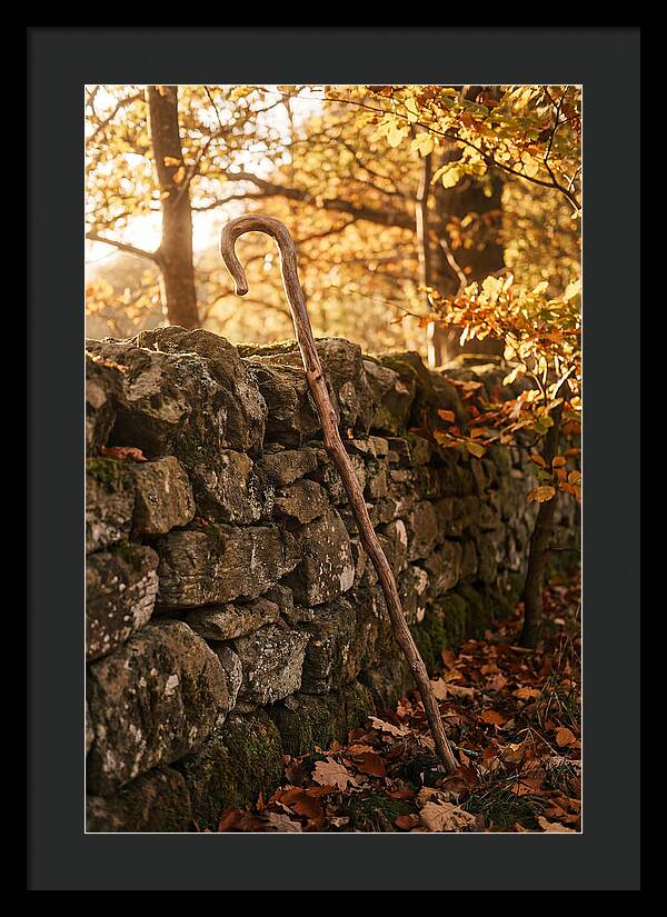 Old Wooden Shepherds Crook