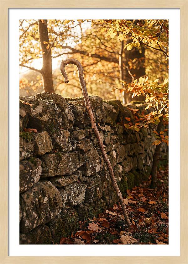 Old Wooden Shepherds Crook