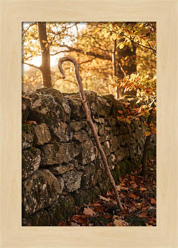 Old Wooden Shepherds Crook